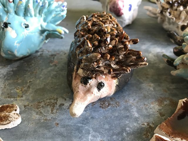 igel igel