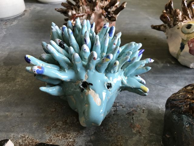 igel igel