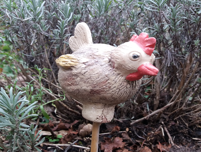 Huhn Huhn
