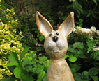 Hase_Höpl