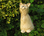 Katze_Hanni