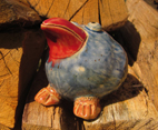 Vogel_Didi